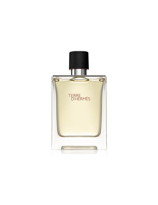 Hermes, Terre d'Hermes, Eau De Toilette, For Men, 100 ml